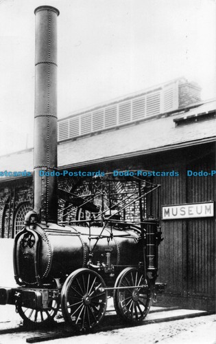 R084462 the agenoria - r084462,